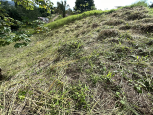 4557 Phase 10 F2 Lot with ocean & mountain view14