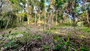 4da8d2a9-cac0-47fa-8a90-92680651ea3a