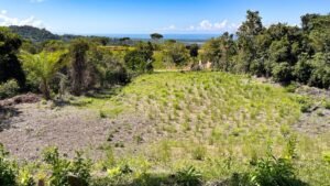 5483 – Tres Rios Costa Azul Lot #10_08