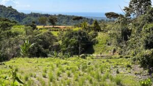 5483 – Tres Rios Costa Azul Lot #10_12