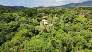 8141 House Ojochal Very Private03