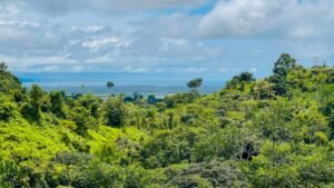 House for sale in Ojochal Costa Rica