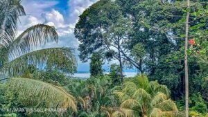 A new small size logo