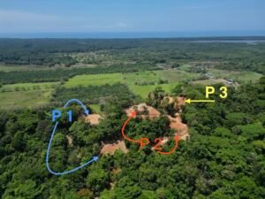 Copy of Copy of dji_fly_20240316_064932_53_1710540483131_photo