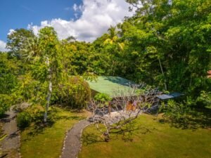 DJI_20240206102647_0079_D