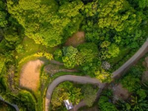 DJI_20240219162044_0133_D