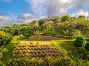 DJI_20240219162236_0134_D