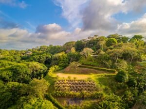 DJI_20240219162306_0135_D