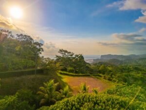 DJI_20240219162522_0137_D