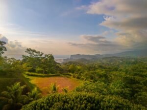 DJI_20240219162530_0138_D