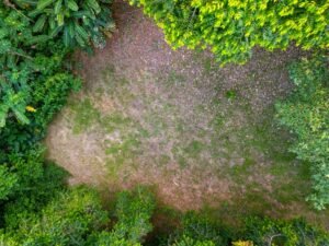 DJI_20240219162724_0141_D