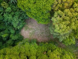 DJI_20240219162732_0142_D