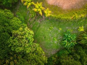 DJI_20240219162842_0144_D