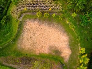 DJI_20240219163138_0146_D