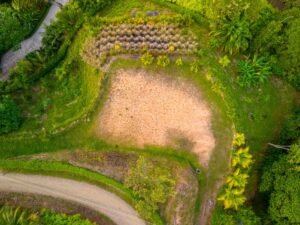 DJI_20240219163153_0147_D