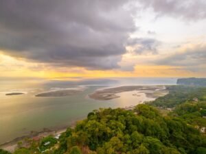 DJI_20240219164909_0154_D