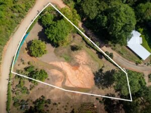 DJI_20240227092646_0248_D