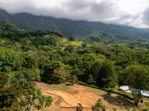 DJI_20240227092931_0251_D