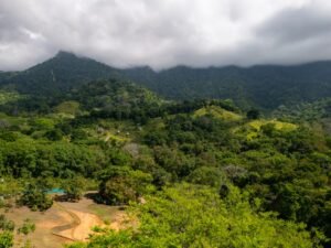 DJI_20240227093012_0252_D