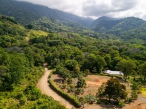 DJI_20240227093128_0253_D