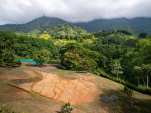 DJI_20240227093441_0255_D