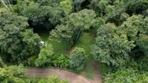 DJI_20240919103401_0013_D