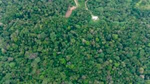 Foto 14-12-23, 15 57 20