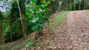 Foto 14-12-23, 16 29 38