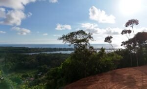 Foto 15-1-24 16 18 47