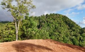 Foto 15-1-24 16 20 32