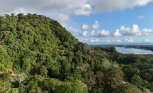 Foto 15-1-24 16 22 27