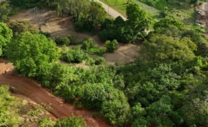 Foto 15-1-24 16 29 09