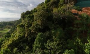 Foto 15-1-24 16 32 44