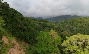 Foto 15-1-24 16 35 56