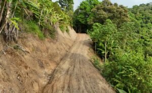 Foto 15-1-24 16 44 44