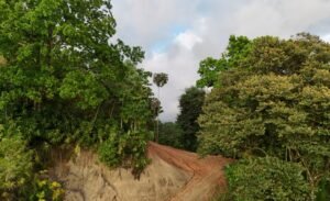 Foto 15-1-24 16 47 01