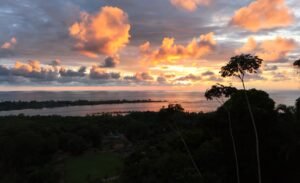 Foto 15-1-24 17 26 11