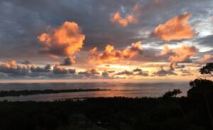 Foto 15-1-24 17 26 34