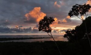 Foto 15-1-24 17 27 32