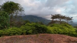 Foto 9-2-24 17 20 33