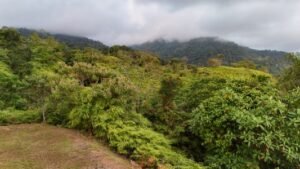 Foto 9-2-24 17 20 44