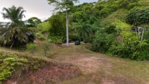 Foto 9-2-24 17 20 54