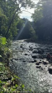 Image 2024-09-18 at 11.06.42 AM