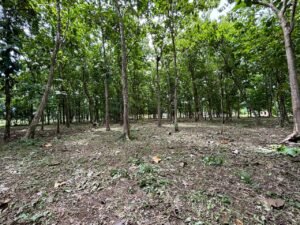 Imagen de WhatsApp 2024-07-21 a las 08.26.52_2cd5f1c8