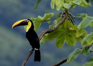 Photo 22-2-23, 4 11 45 PM (1)