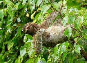 Photo 22-2-23, 4 11 45 PM (2)