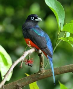 Photo 22-2-23, 4 11 45 PM