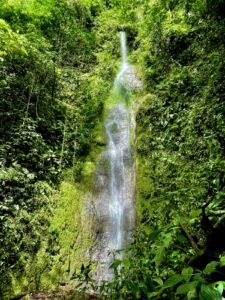 Photo 22-2-23, 4 11 45 PM (3)