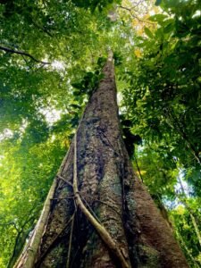 Photo 22-2-23, 4 15 45 PM (1)