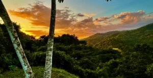 Photo 22-2-23, 4 16 58 PM (2)